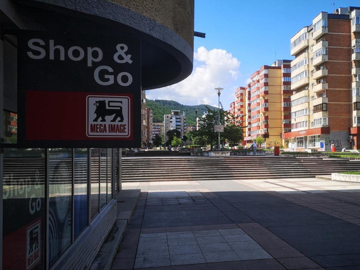 Mid-Term Rental Racadau Apartment Braszów Zewnętrze zdjęcie
