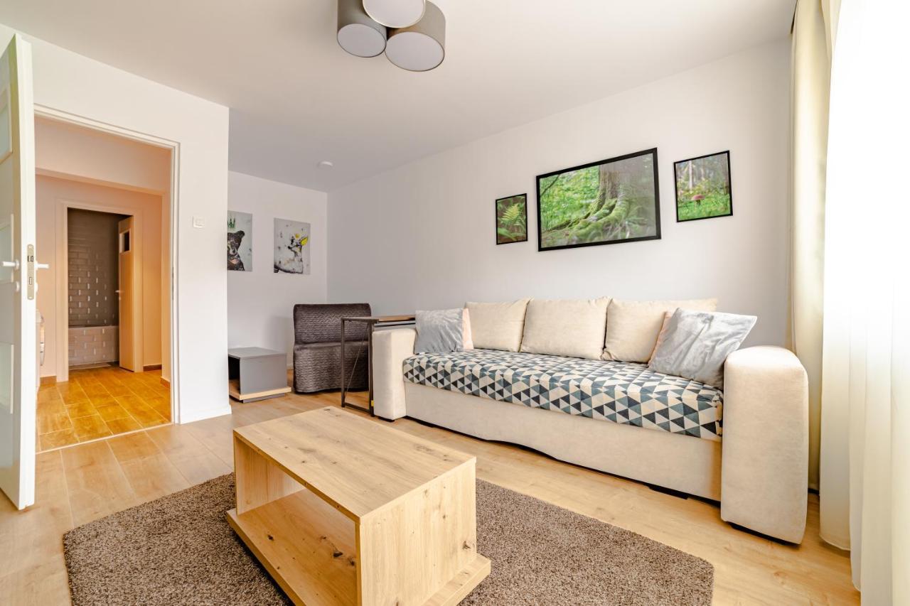 Mid-Term Rental Racadau Apartment Braszów Zewnętrze zdjęcie